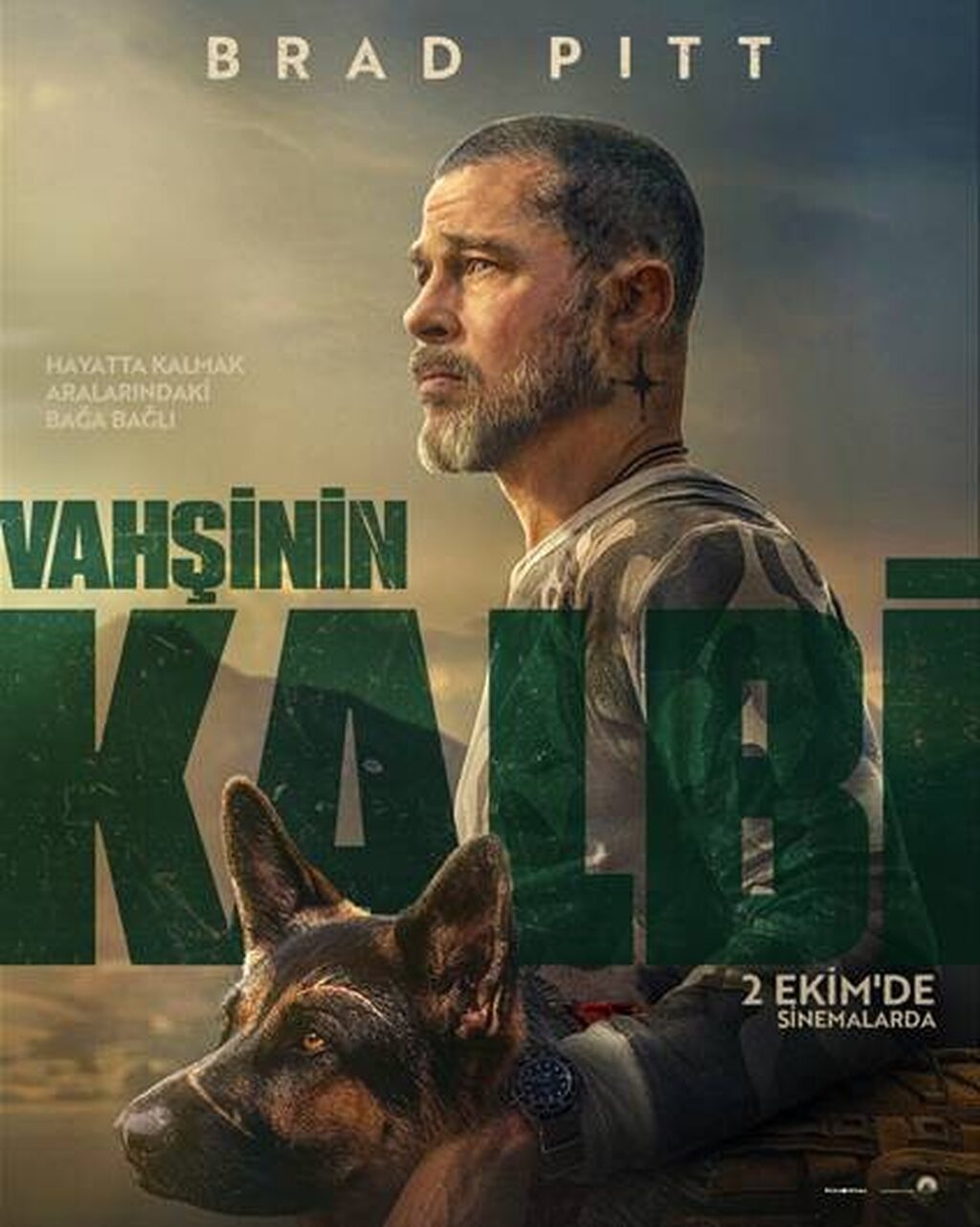 Vahşinin Kalbi