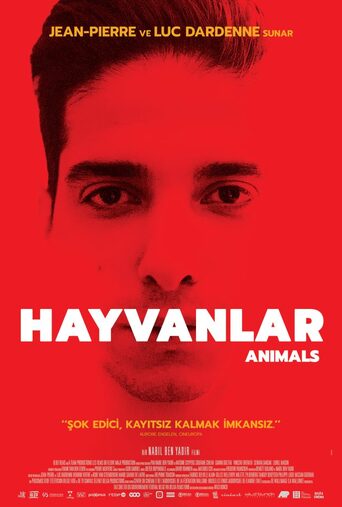 Hayvanlar