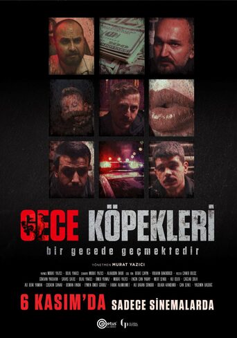 Gece Köpekleri