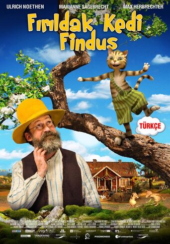 Fırıldak Kedi