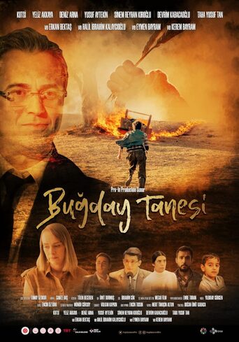 Buğday Tanesi