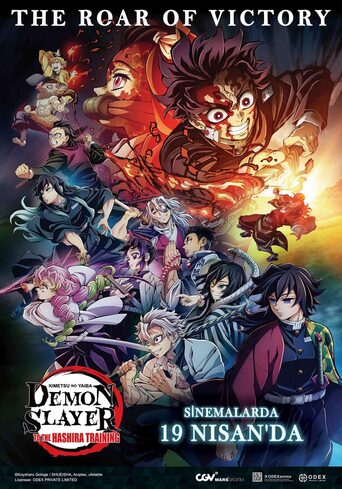 Demon Slayer - To the Hashira Training