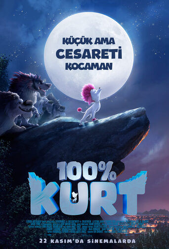 100% Kurt