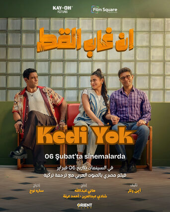 Kedi Yok