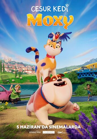 Cesur Kedi Moxy