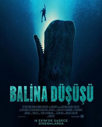 Balina Düşüşü