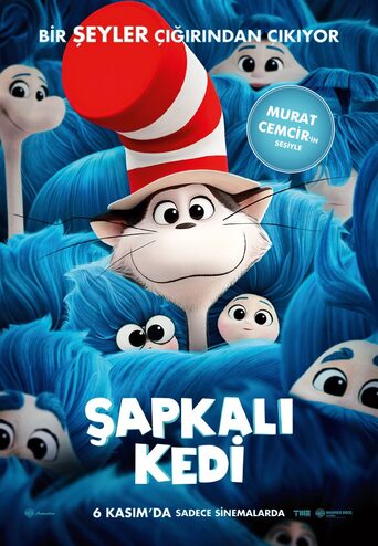 Şapkalı Kedi