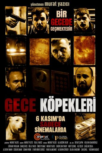 Gece Köpekleri
